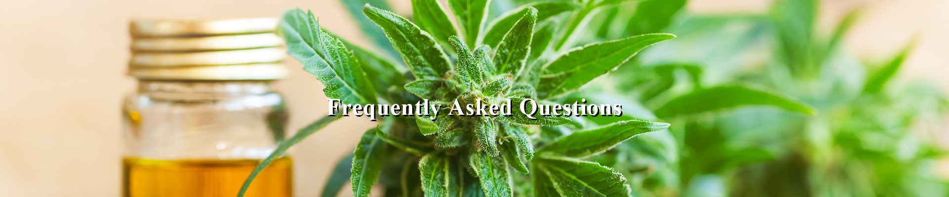 frequently asked cbd questions