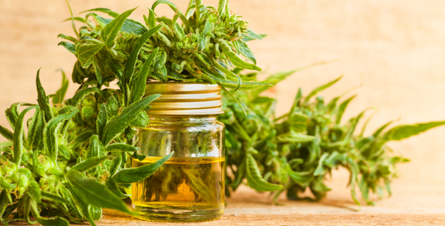 what to look for when buying cbd in spring texas